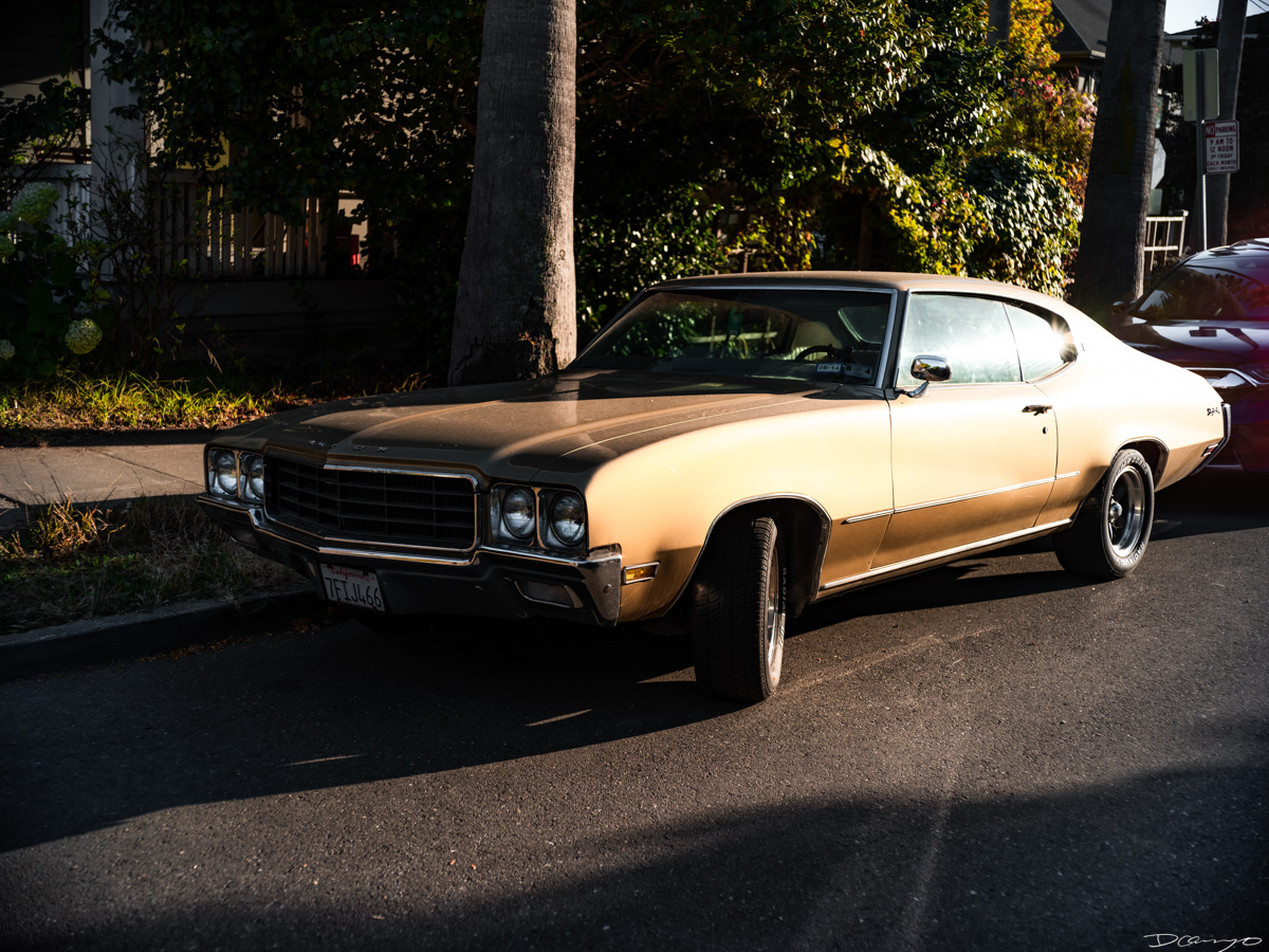 Pretty things that I wanted to take pictures of around Berkeley in 2023.